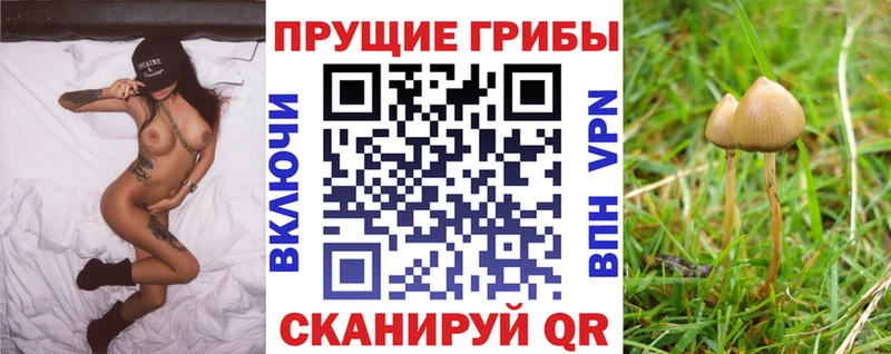 Псилоцибиновые грибы прущие грибы Староминская